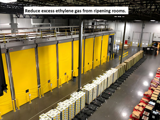 remove excess ethylene gas after ripening cycle